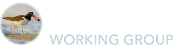 American Oystercatcher Working Group Logo