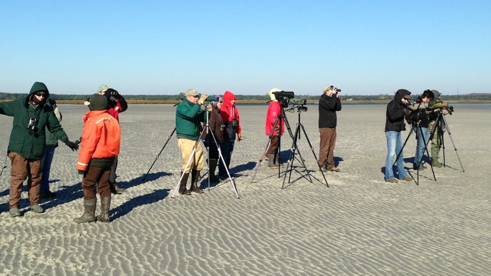 Birders gathering on a beach.