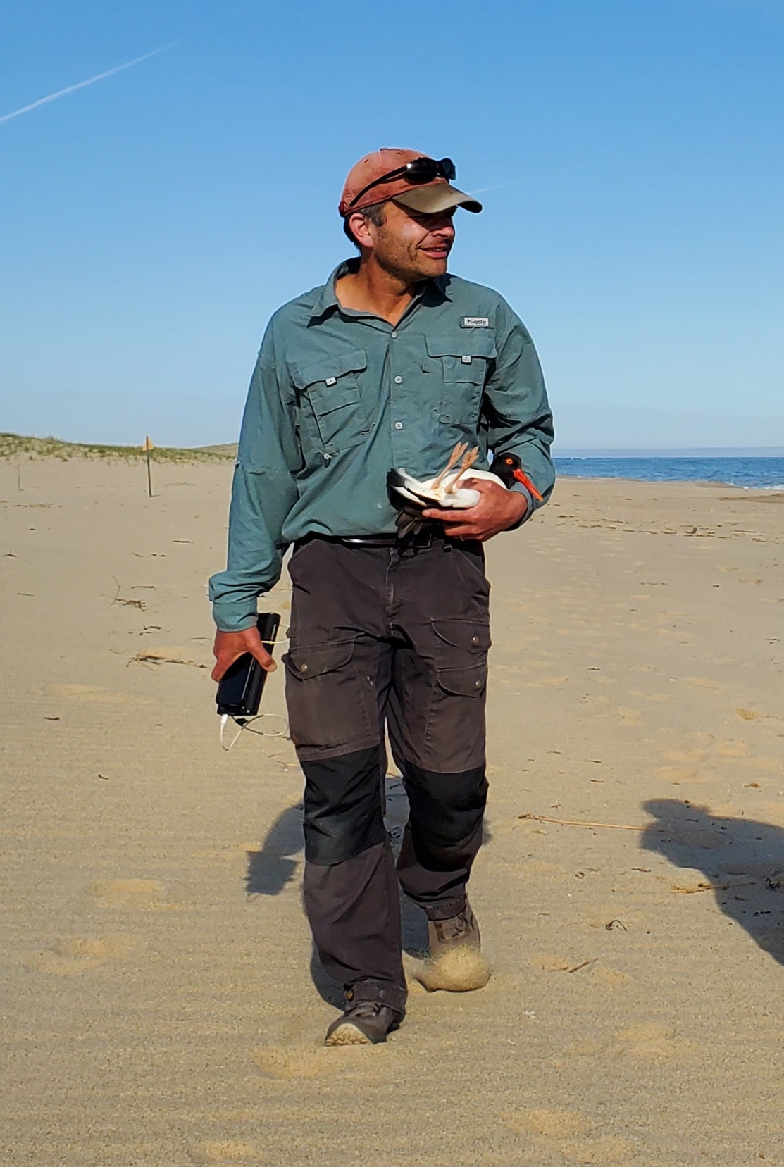 A researcher walking up the beach.