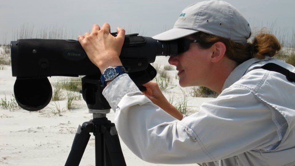 A researcher surveying birds on a beach.