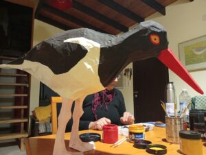Large paper mache American Oystercatcher used in public outreach efforts.